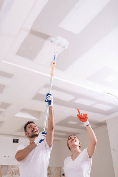 Best Ceiling Drywall Installation  in Elk Creek, KY